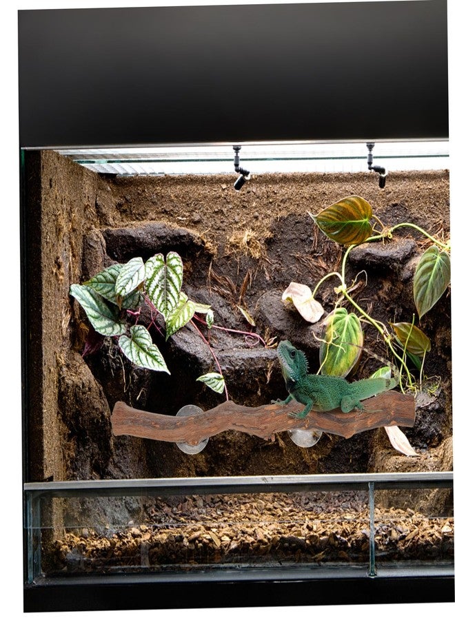 BUGUUYO Grape Wood Stand Bearded Dragon Toy Suction Tree Branch Lizard Supplies Terrarium Decor - Image 4